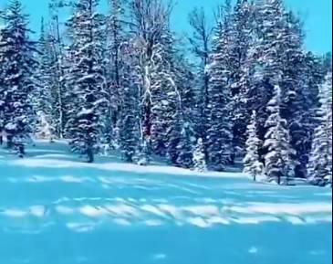 科比大女儿晒视频 陪麻麻、带妹妹们一起欢快滑雪