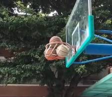 男孩子的快乐总是这么朴实无华~
